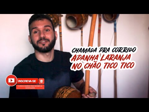 Chamada pra corrido - Apanha laranja do chão tico tico - Pitoco