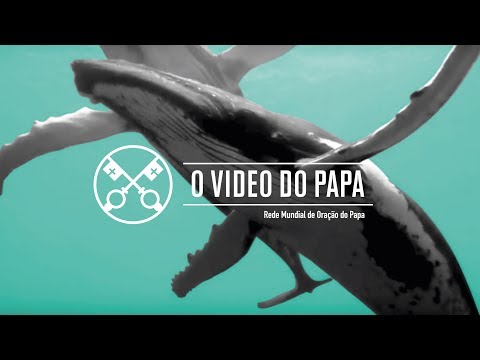 Proteção dos oceanos - O Vídeo do Papa 9 - Setembro 2019
