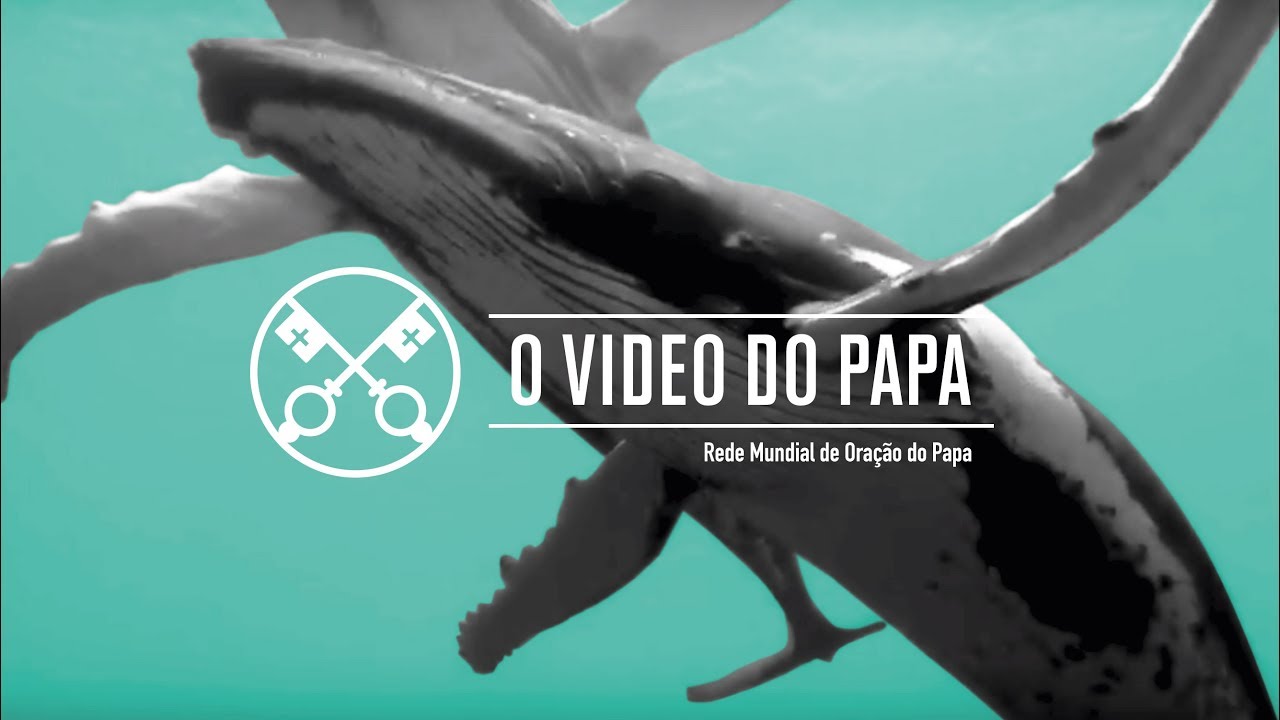 Proteção dos oceanos | Setembro de 2019