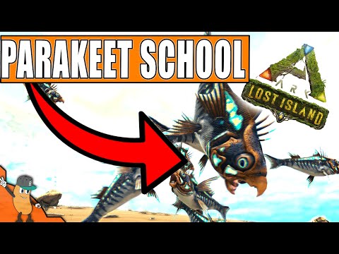 Parakeet Location For Taming Megachelon | Ark Survival Evolved Lost Island