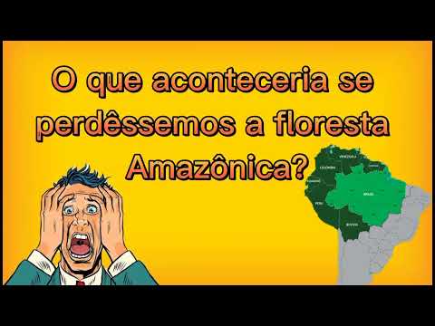 O que aconteceria se perdêssemos a Floresta Amazônica? - É de Assustar!