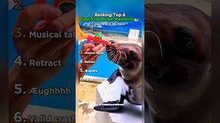 Ranking The Best Seals / Sea Lion Moments