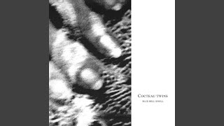 Cover art for Cico Buff