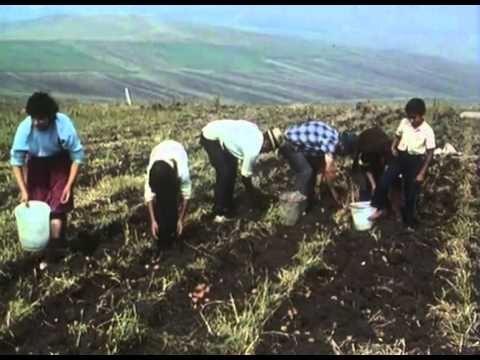 Musiciens Tziganes de Roumanie (extrait)