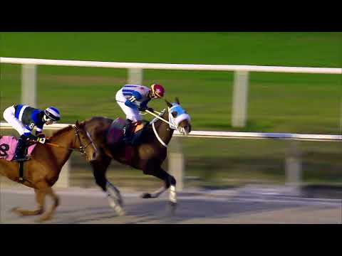 220626 c10 DOG BRIDE