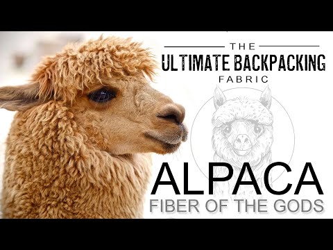 The Ultimate Backpacking Fabric - Alpaca, Fiber of the Gods