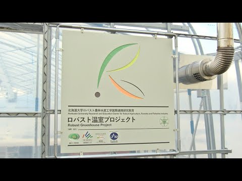 国際地域学科 ロバスト温室プロジェクト