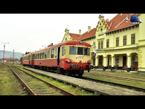 R16239 Arad-Sântana-Ineu-Gurahonț-Brad in Baia de Criș & Gara Brad Station - 22 December 2020