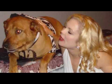 The Underage Date Song   Seventeen