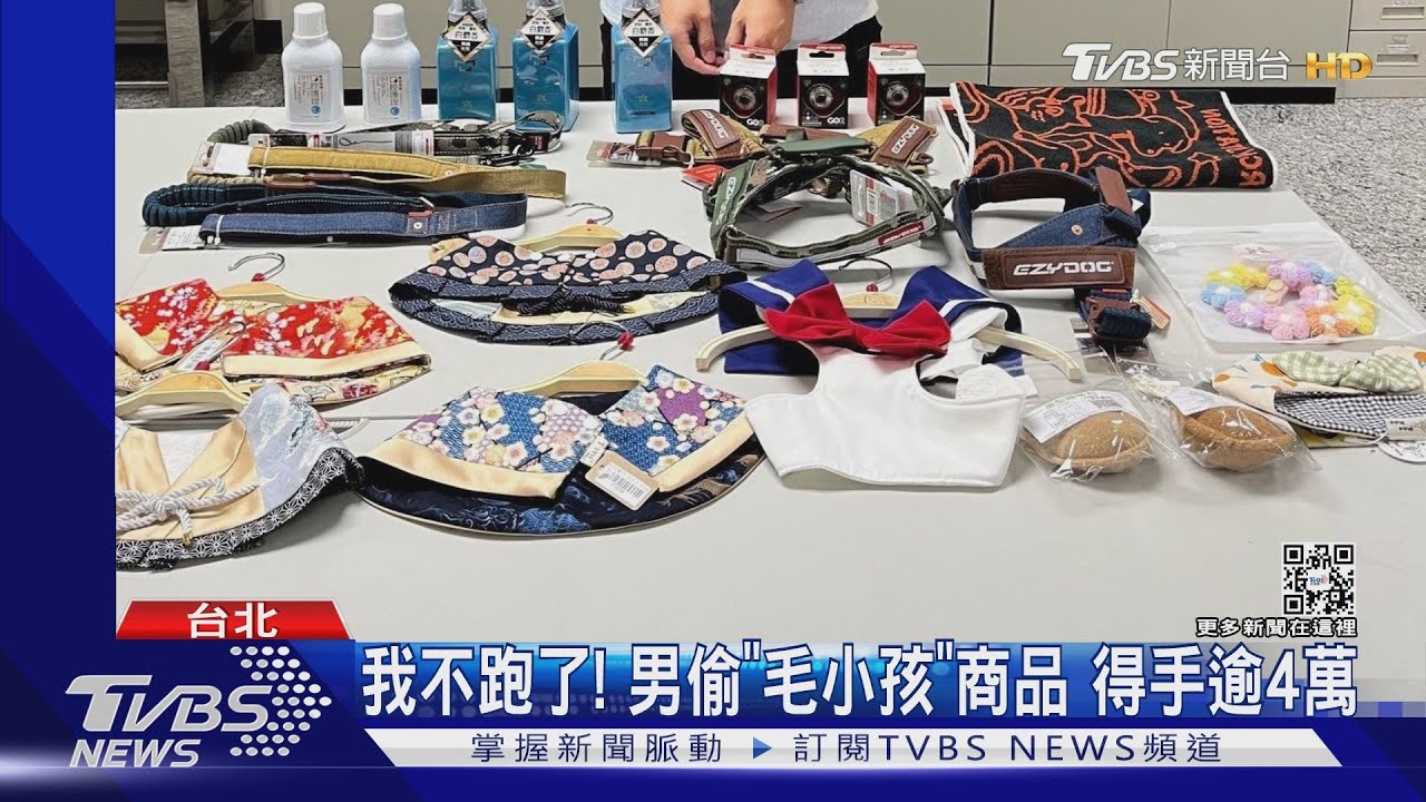 我不跑了!男偷「毛小孩」商品 得手逾4萬