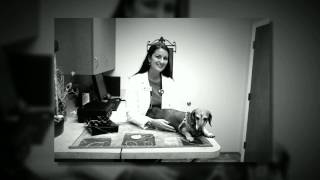 preview picture of video 'Brandt Veterinary Clinic of Nokomis, Florida'