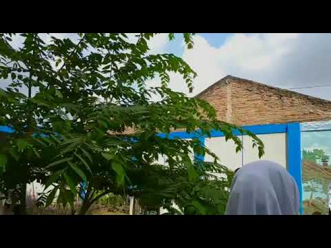 Kampanye Calon Ketua Osis Kelompok Rahasia 4