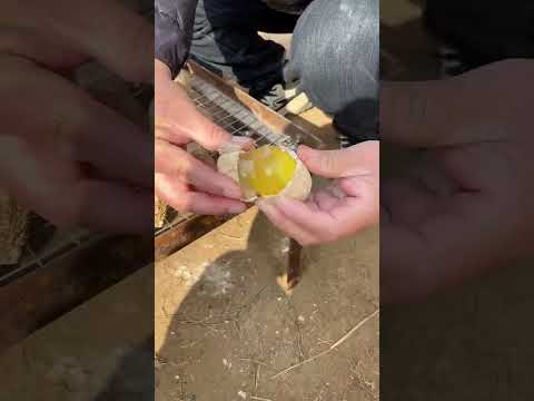 #Delicious #Henan specialty soft-boiled eggs#027