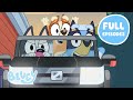 BRAND NEW Bluey Season 3 Full Episode Compilation 40 MINUTES Bluey