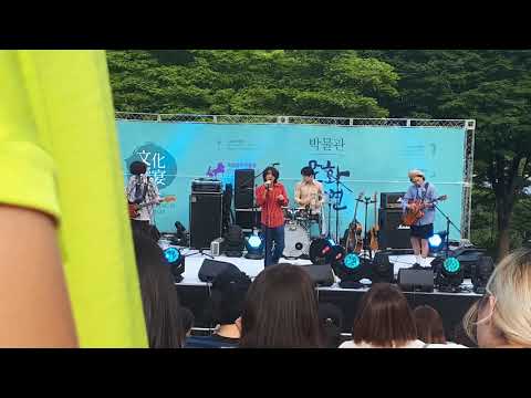 잔나비 - Yellow (원곡 : Cold play)