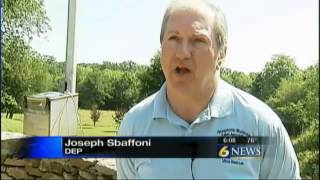 Celebrating and reflecting: Quecreek Mine Rescue 12 years later