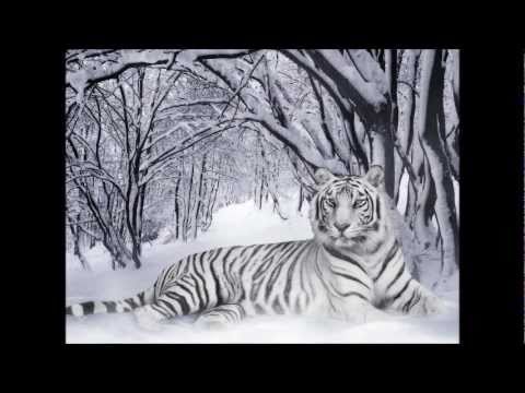 summer set 2011 by khanom CH!NO