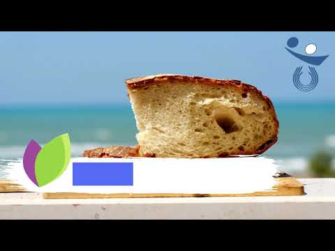 Fipav Romagna Uno e Tulips