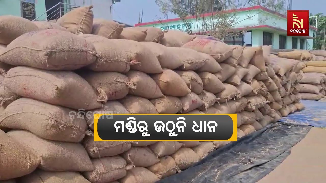 କୋରାପୁଟ ଜିଲ୍ଲାର ବିଭିନ୍ନ ମଣ୍ଡିରୁ ଉଠୁନି ଧାନ