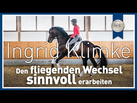 Den fliegenden Wechsel SINNVOLL erarbeiten - Tipps von Ingrid Klimke