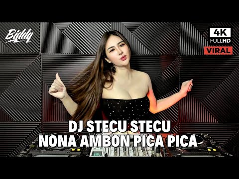 DJ STECU STECU X NONA AMBON PICA PICA  REMIX FULL BASS VIRAL TIKTOK TERBARU 2025 ( DJ BIDDY )