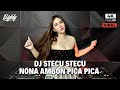 DJ STECU STECU X NONA AMBON PICA PICA REMIX FULL BASS VIRAL TIKTOK TERBARU 2025 DJ BIDDY