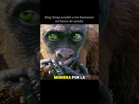 King Kong acudió a los humanos pidiendo ayuda. 😍 #shorts