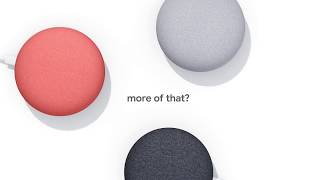 Google Home Mini (Charcoal)