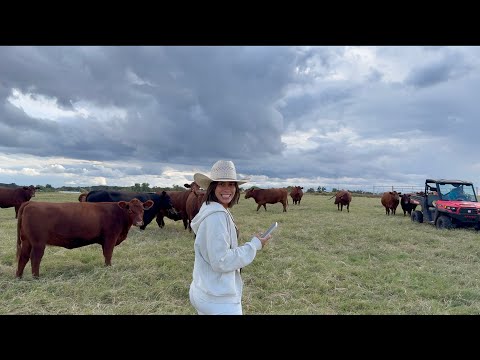 FERNANDA'S SHOW 20 - TEXAS