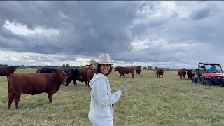 FERNANDA'S SHOW 20 - TEXAS