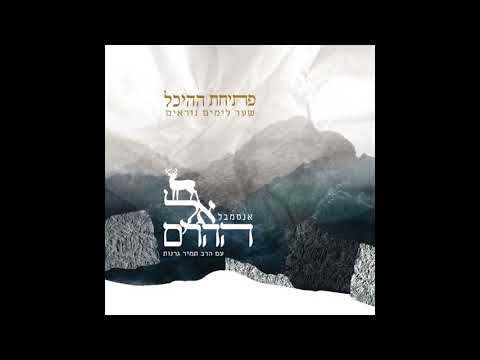 שמחה לארצך - האמרי שאול (מודז'יץ) // אנסמבל אל ההרים & הרב תמיר גרנות