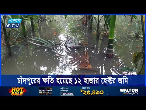 চাঁদপুরের ৮ উপজেলায় ক্ষতি হয়েছে ১২ হাজার হেক্টর জমি