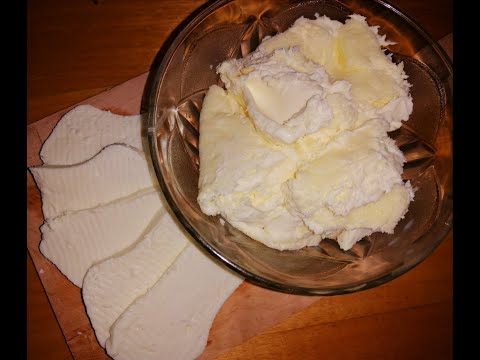 KAKO NAPRAVITI DOMAĆI SIR I KAJMAK KOD KUĆE?! DETALJNA PROCEDURA!