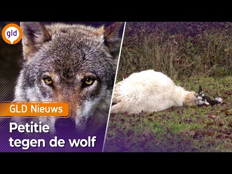 GLD Nieuws 28 november 2025