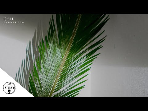 R&B Dancehall Instrumental 2021 - "Chill" | PARTYNEXTDOOR Type Beat 2021 x Drake Type Beats