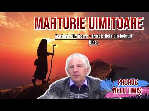 NELU TIMIȘ - Marturie Uimitoare - Fratele Nelu din judetul Bihor / Live