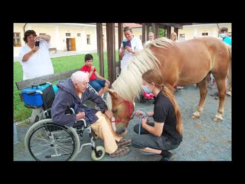 Pomozte koním, kteří pomáhají