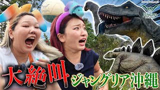 【逃亡】沖縄で癒されるはずが絶対絶滅で覚醒