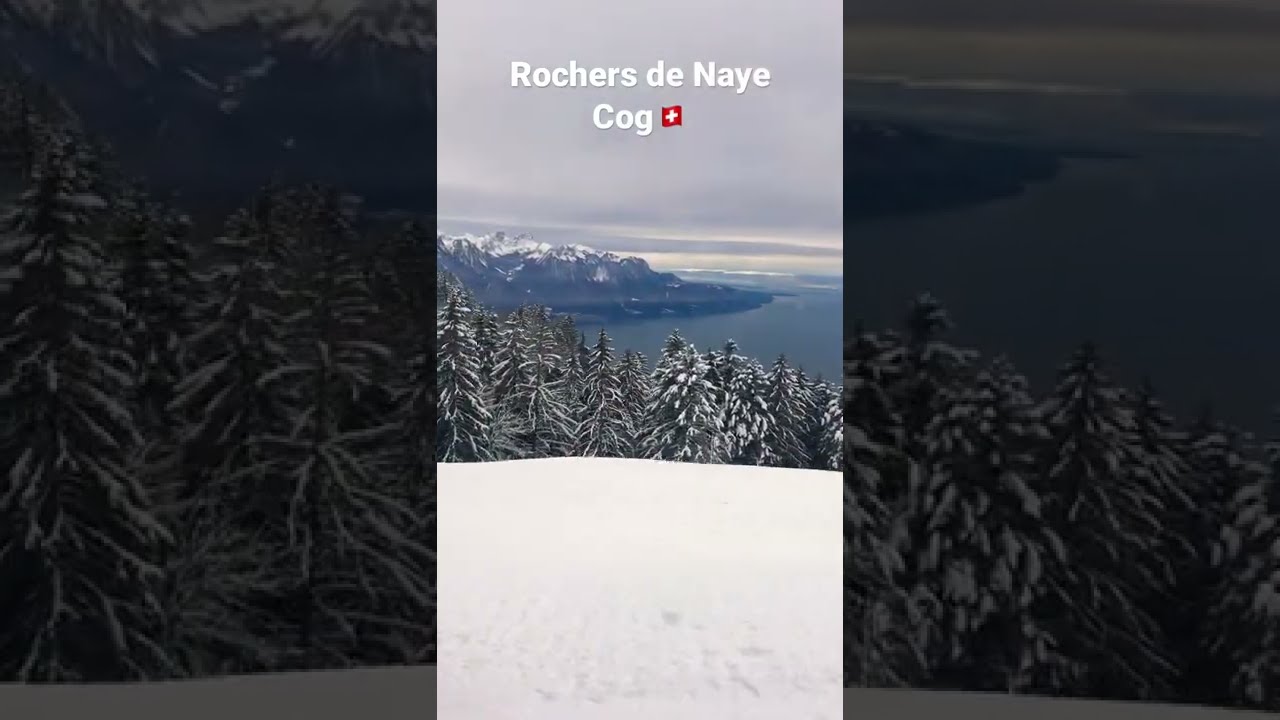 YouTube Short thumbnail