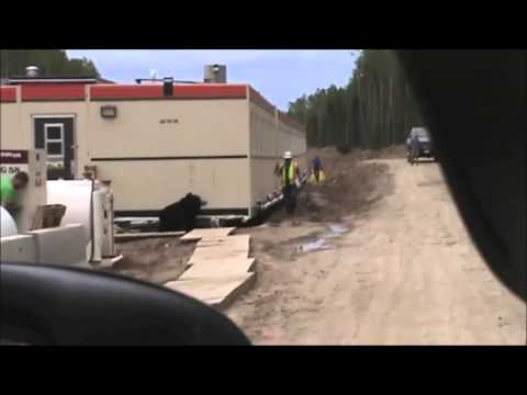 Farsă de milioane pe un șantier! Un muncitor și-a speriat colegul &icirc;n cel mai tare mod posibil! (VIDEO)