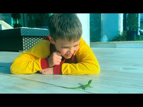 FedorUK VLOGs  America / Рум Тур и День Рождения Дианы