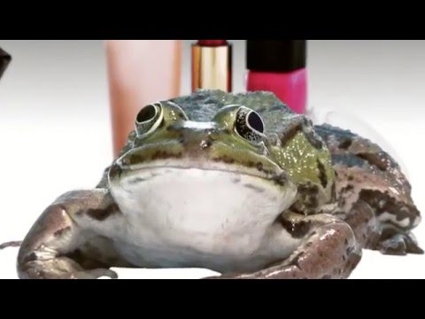 Lačni Franz - Cmokfehtar (Official Music Video)