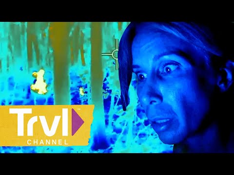 TOP 5 Pieces of Bigfoot Evidence from Season 2 | Expedition Bigfoot | Travel Channel