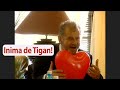 Inima De Tigan Sau Inima Lui Giuvaeru