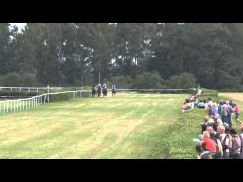 MI, 12. 7. 2015, 5. dostih - Cena firmy Michlovský - protlaky