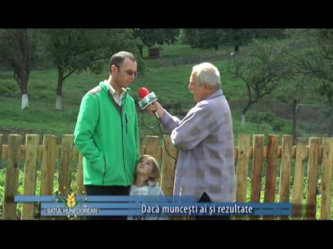 satul hunedorean 22 mai 2016
