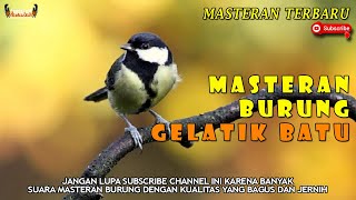Download lagu PANCINGAN BURUNG GELATIK BATU CEPAT GACOR || MASTERAN BURUNG GELATIK BATU mp3