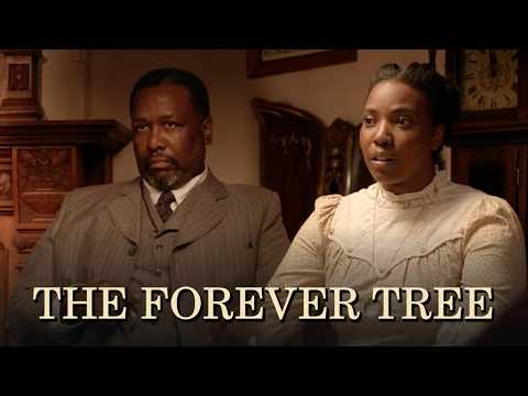 10 Lessons from The Forever Tree for Black Women, Girls, and Survivors Who Have Learned to Play Small
