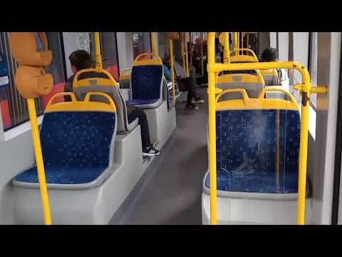 Plimbare prin Oradea cu tramvaiul prin zona Universității NR 9 .7.10.2024 ( ultima filmare video 📹 )