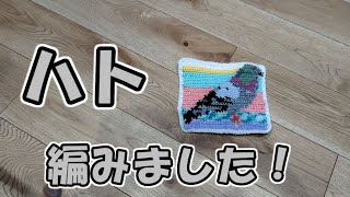 【編み物】かぎ網でハトを編みました（編み込み）